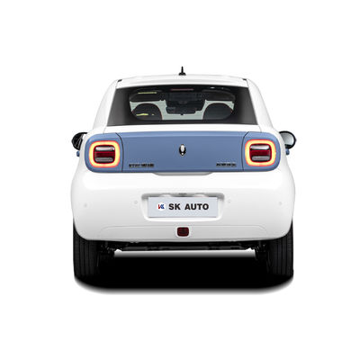 ORA BLACK CAT Mini EV Cars 4 Wheels Adult Rhd Electric Car Smart CE