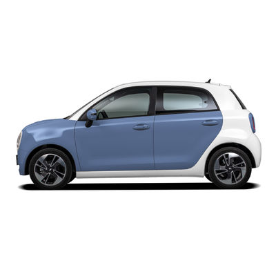 ORA BLACK CAT Mini EV Cars 4 Wheels Adult Rhd Electric Car Smart CE